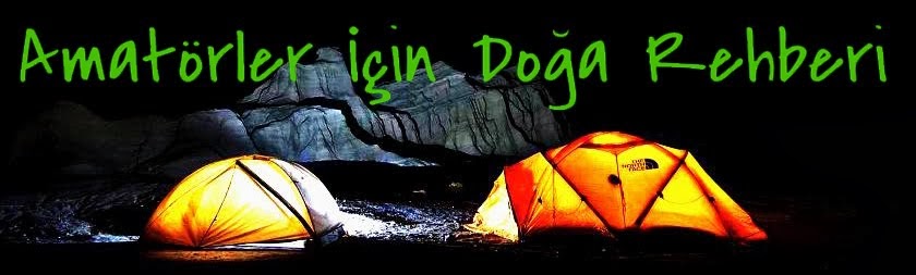 Amatörler İçin Doğa Rehberi
